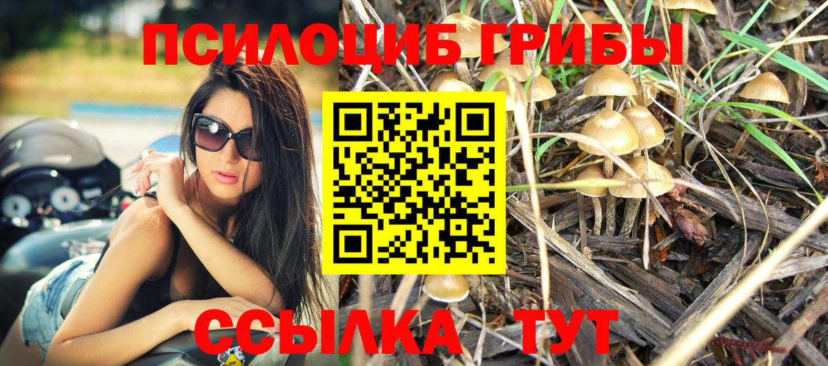 Галлюциногенные грибы прущие грибы  Псилоцибиновые грибы Psilocybine cubensis  где найти наркотики  Вход с VPN  Новочебоксарск 