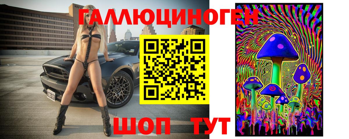 Псилоцибиновые грибы мицелий Новочебоксарск